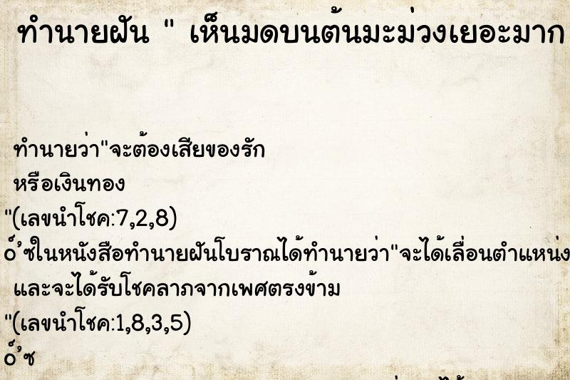 ทำนายฝันเห็นมดบนต้นมะม่วงเยอะมากเห็นมดบนต้นมะม่วงเยอะ ทำนายฝันทำนายฝันเห็นมดบนต้นมะม่วงเยอะมากเห็นมดบนต้นมะม่วงเยอะ